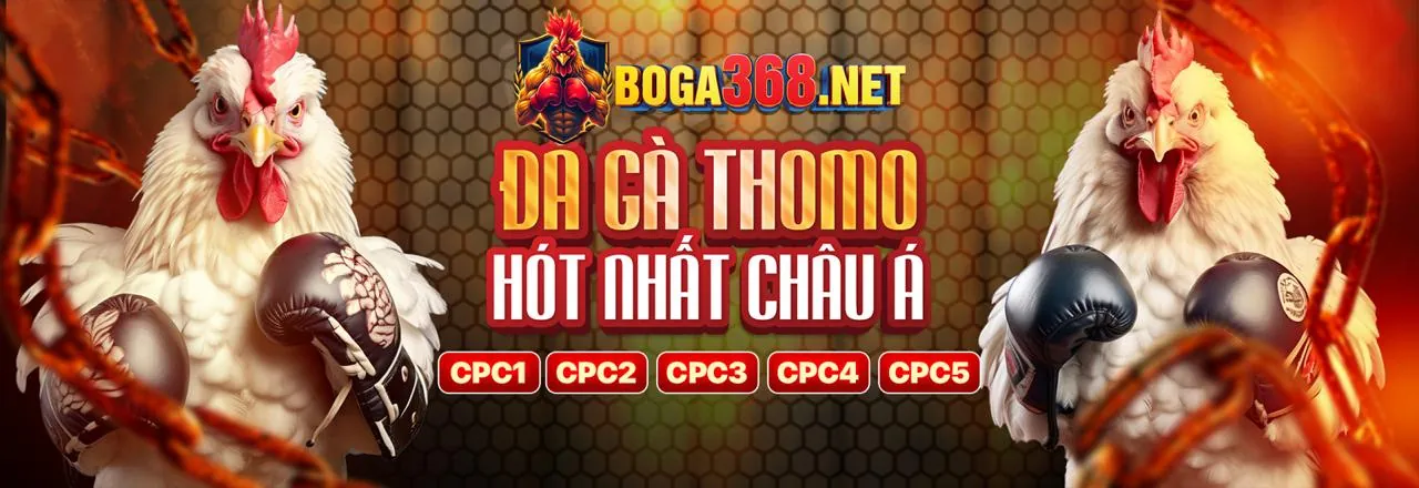 Nền tảng b99 link mới an toàn và uy tín